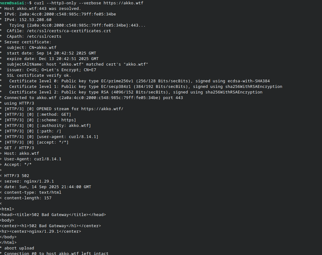 curl output showing http/3 working on akko.wtf and a let's encrypt certificate issued via the nginx acme client